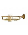 OTTNORTH 降B調 小號 trumpet